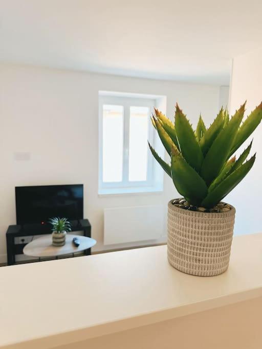 Le Studio - Cocon Scandinave - Parking Gratuit Pont-de-Veyle Exterior foto
