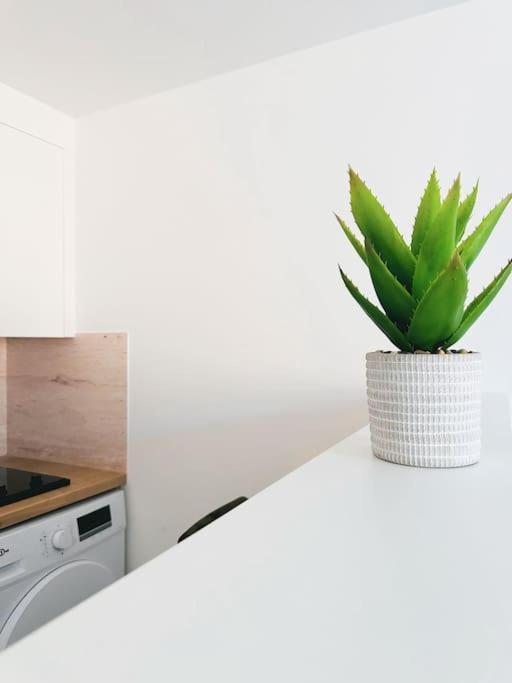 Le Studio - Cocon Scandinave - Parking Gratuit Pont-de-Veyle Exterior foto
